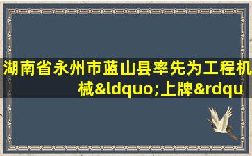 半岛游戏pg电子网站官网-湖南省永州市蓝山县率先为工程机械“上牌”